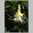za0163.html